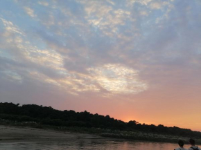 Sauraha Green homestay